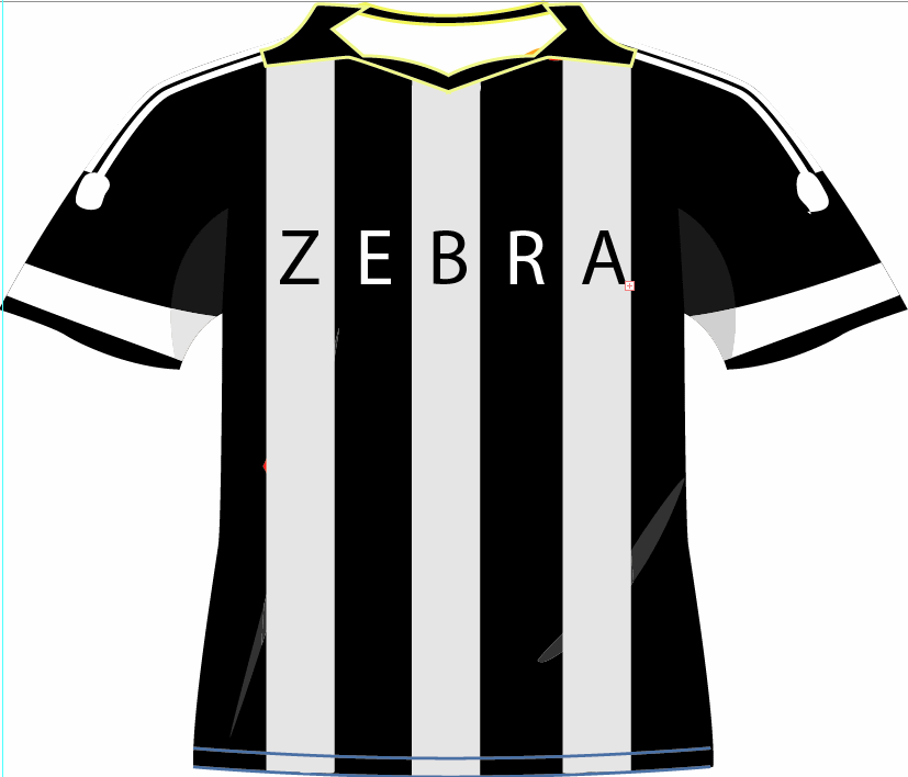 zebra22.png